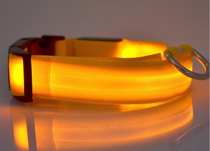 Bright Paws LED Safety Collar for Night Walks