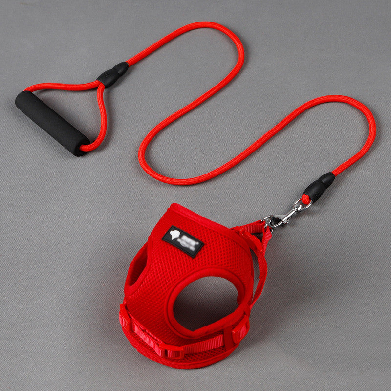 Complete Leash and Collar Set for Easy Dog Walks