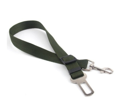 Comfortable Fixed Strap Dog Leash for Happy Daily Walks