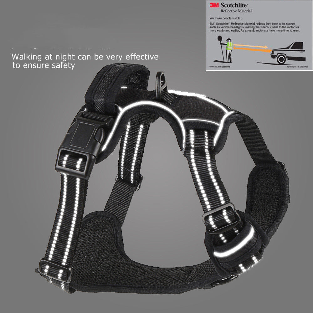 Comfortable No-Pull Harness for Happier Dog Walks