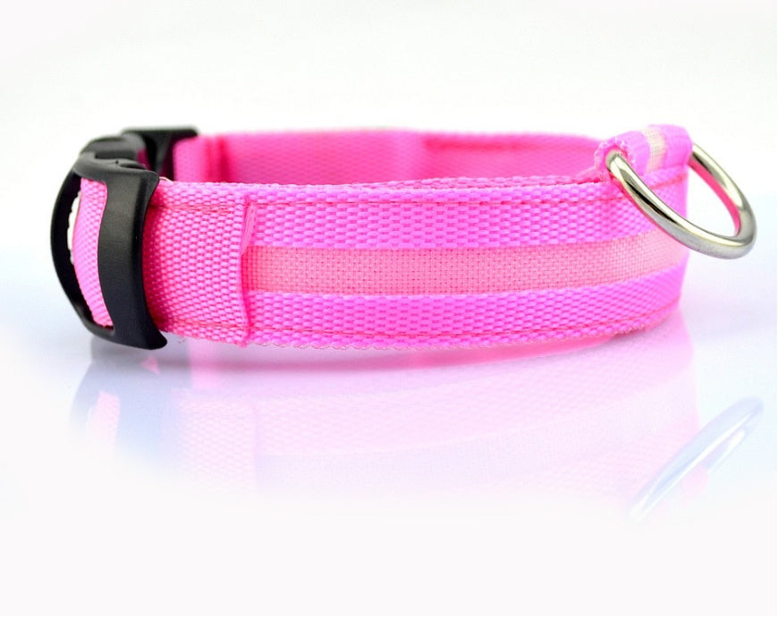 Bright Paws LED Safety Collar for Night Walks