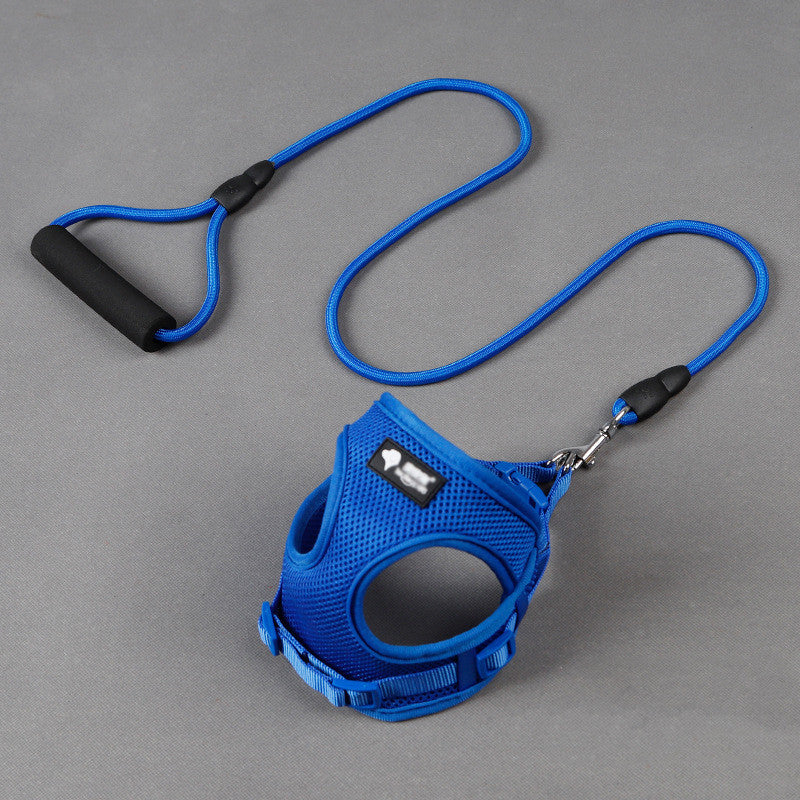 Complete Leash and Collar Set for Easy Dog Walks