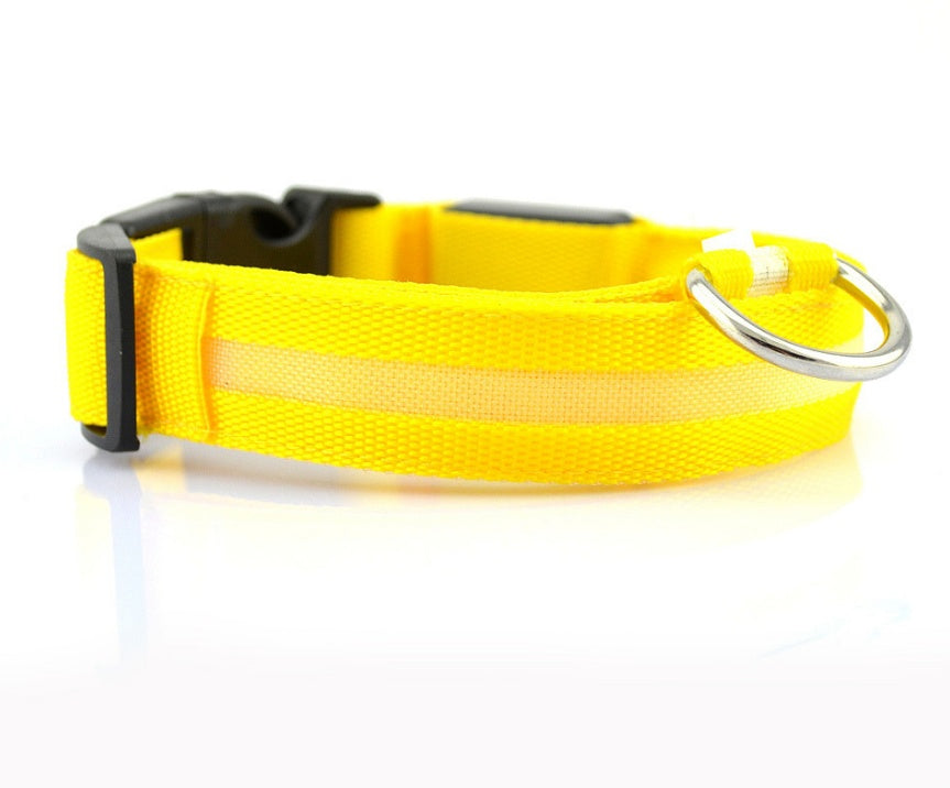 Bright Paws LED Safety Collar for Night Walks