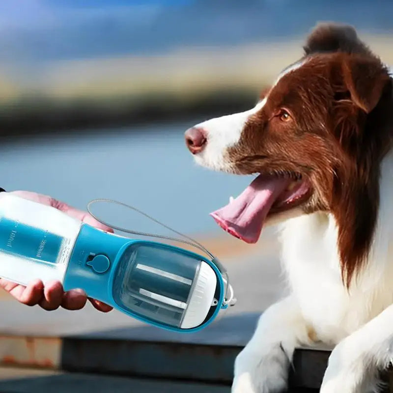 Doggie Travel Cup with Snacks & Waste Bags