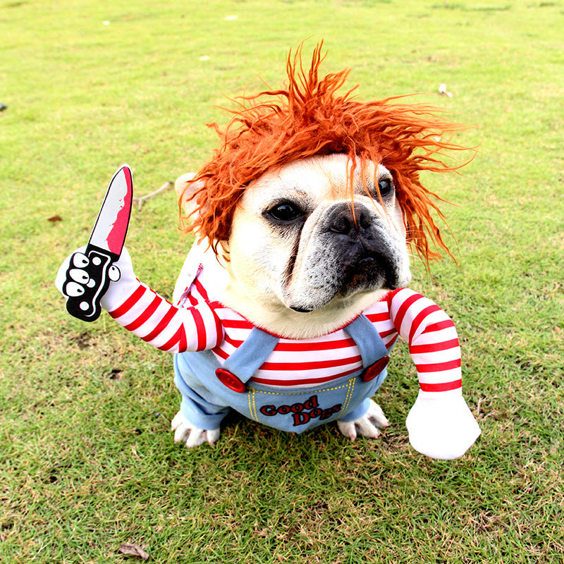 Halloween Fun Starts Here – Pet Costume for Dogs