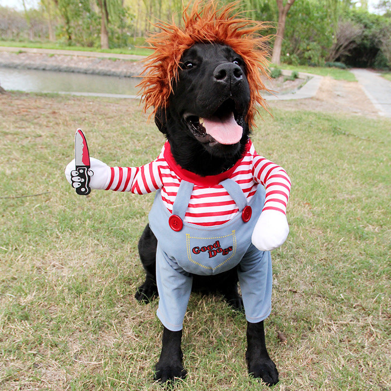Halloween Fun Starts Here – Pet Costume for Dogs