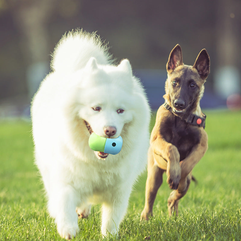 2-in-1 Dog Toy Ball for Fun & Treat Play