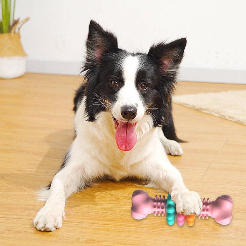 Fun & Durable Dog Bone for Teeth Cleaning