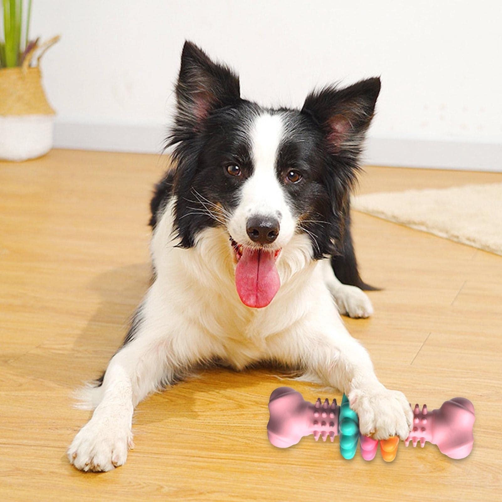 Fun & Durable Dog Bone for Teeth Cleaning