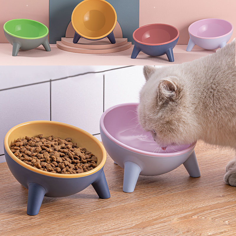 Stylish Raised Pet Bowls for Comfortable Mealtime