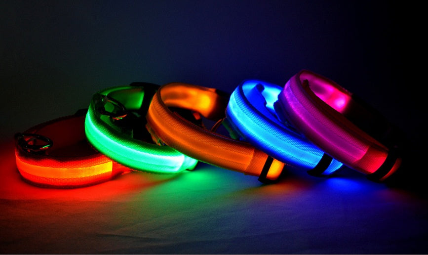 Bright Paws LED Safety Collar for Night Walks