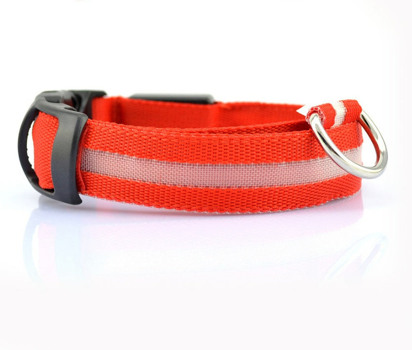 Bright Paws LED Safety Collar for Night Walks