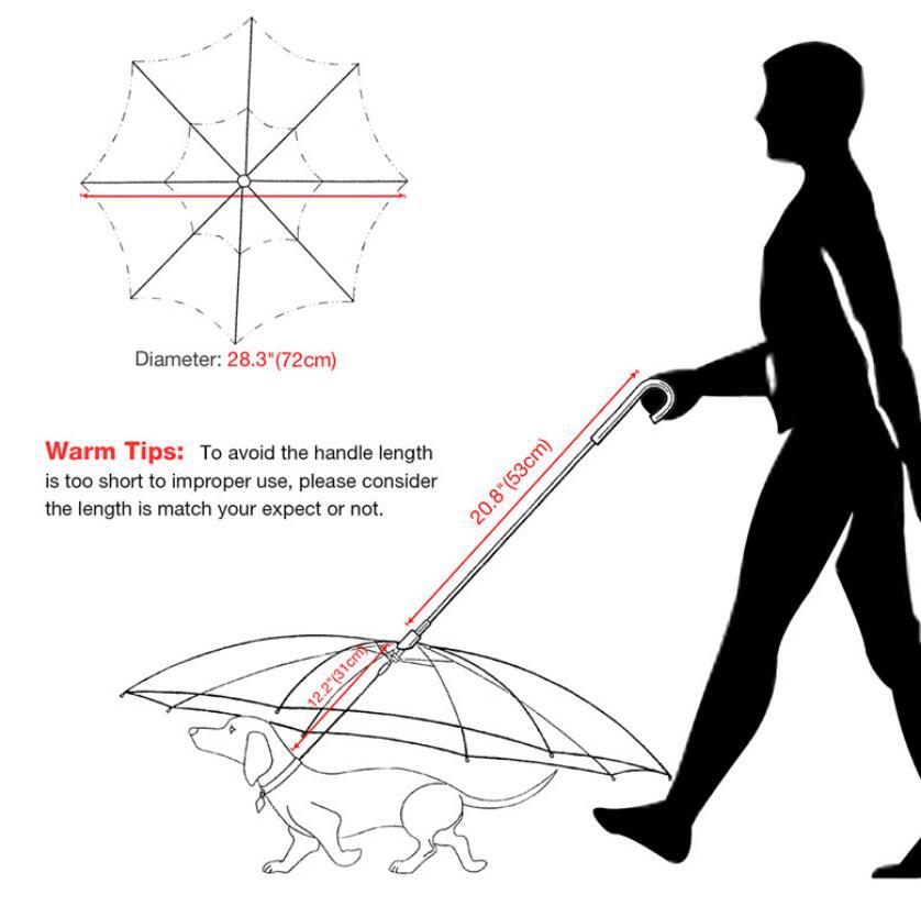 Rainy Day Walks Made Easy for Your Dog