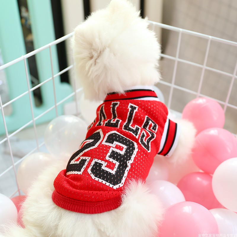 Keep Your Dog Cool with This Summer Vest