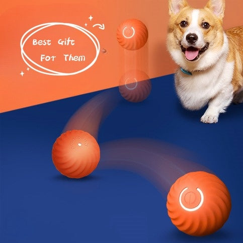 Tough Chew Ball for Puppies and Dogs