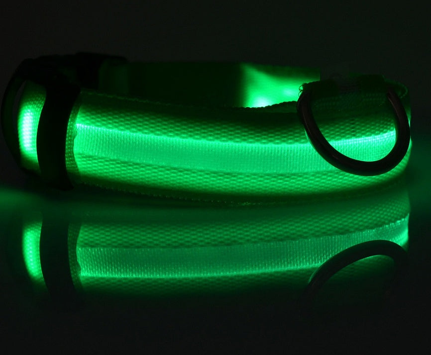 Bright Paws LED Safety Collar for Night Walks