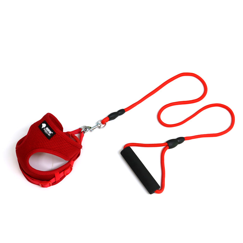 Complete Leash and Collar Set for Easy Dog Walks