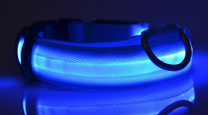 Bright Paws LED Safety Collar for Night Walks