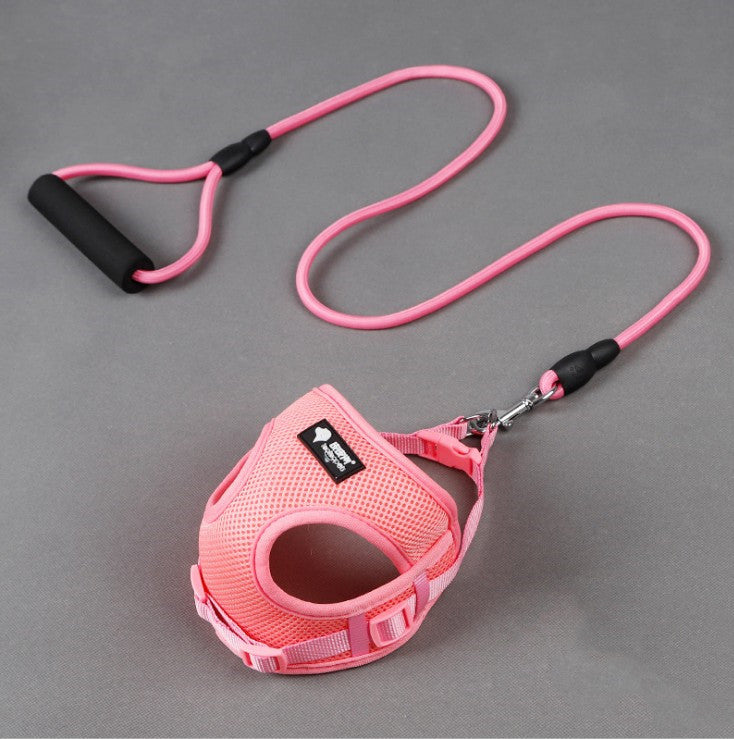 Complete Leash and Collar Set for Easy Dog Walks