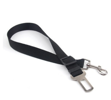 Comfortable Fixed Strap Dog Leash for Happy Daily Walks