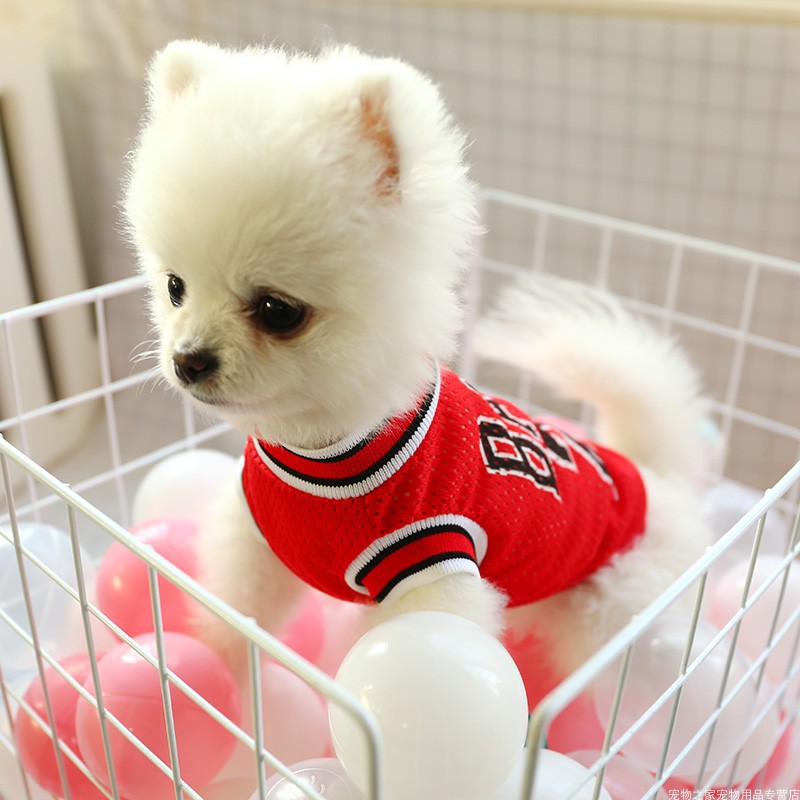 Keep Your Dog Cool with This Summer Vest