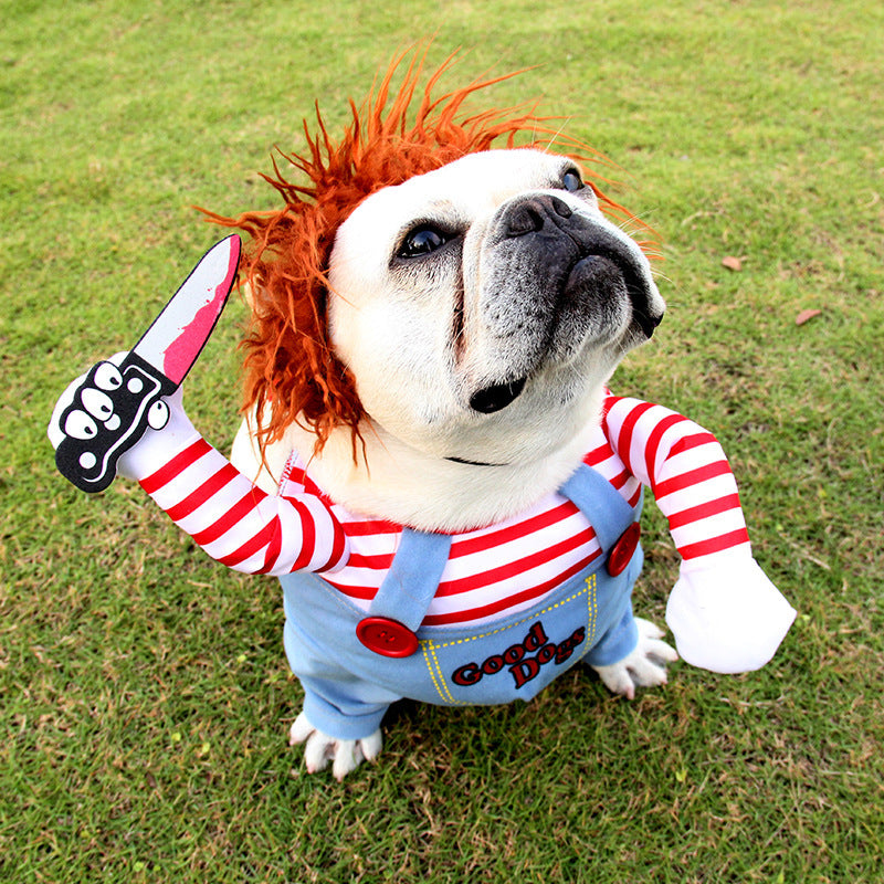 Halloween Fun Starts Here – Pet Costume for Dogs