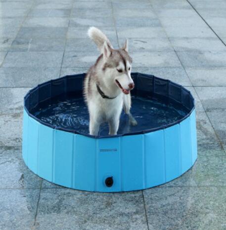 Foldable Dog Pool for Cooling, Bathing, and Fun