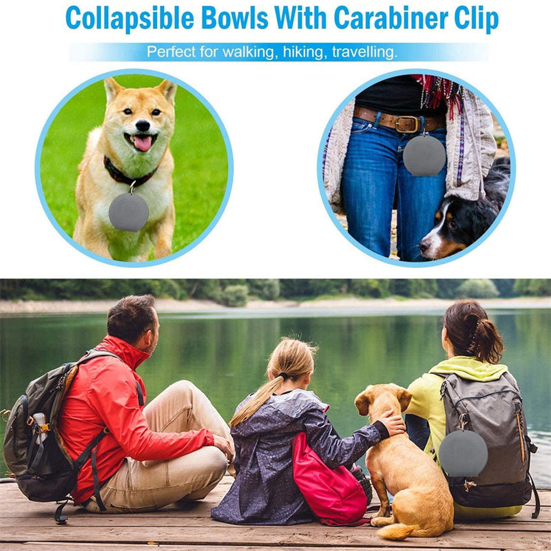 Travel-Friendly Foldable Double Bowl for Dogs and Cats