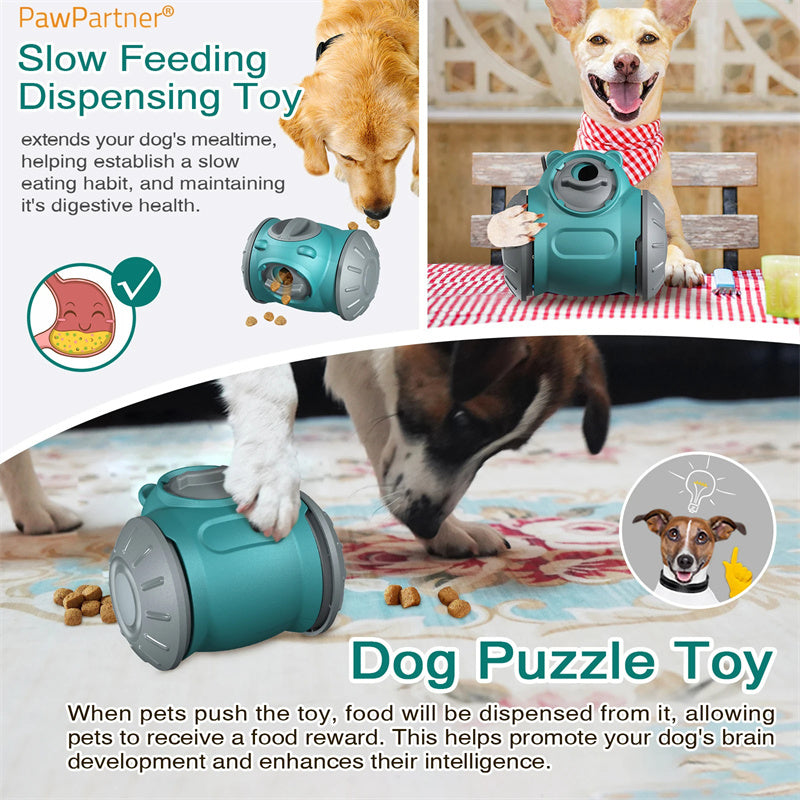 Tumble & Treat Fun for Dogs and Cats