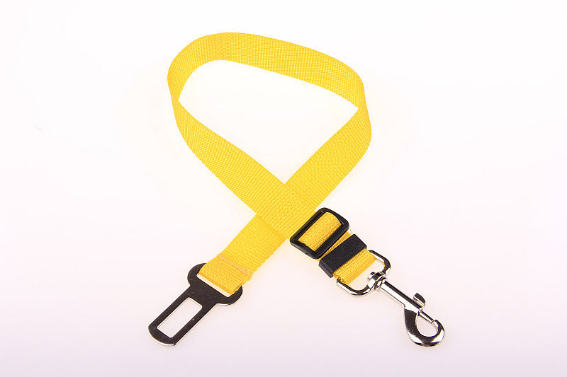 Comfortable Fixed Strap Dog Leash for Happy Daily Walks