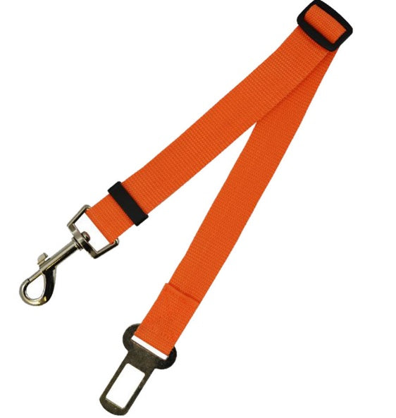 Comfortable Fixed Strap Dog Leash for Happy Daily Walks