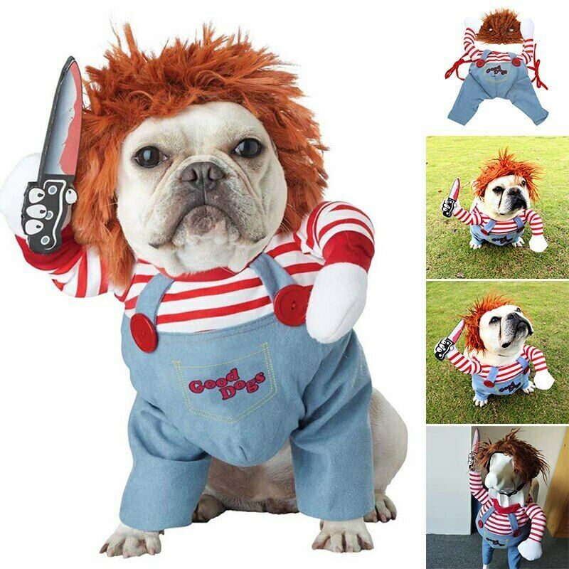 Halloween Fun Starts Here – Pet Costume for Dogs