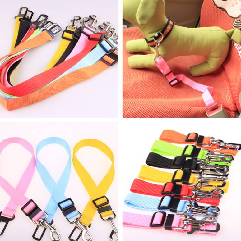 Comfortable Fixed Strap Dog Leash for Happy Daily Walks