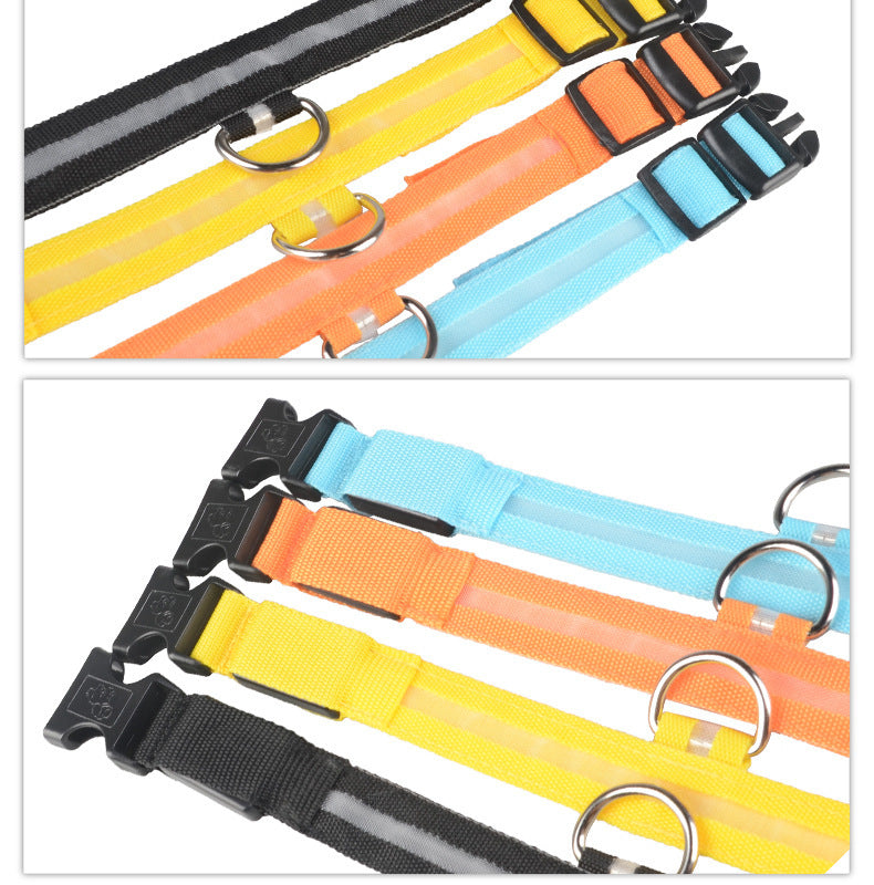 Bright Paws LED Safety Collar for Night Walks
