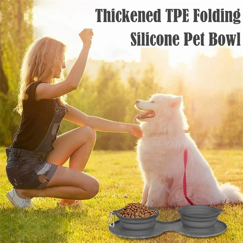 Travel-Friendly Foldable Double Bowl for Dogs and Cats