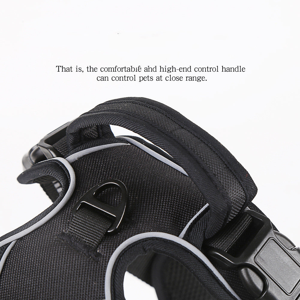 Comfortable No-Pull Harness for Happier Dog Walks