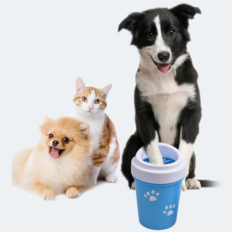 Keep Your Dog’s Paws Clean and Healthy