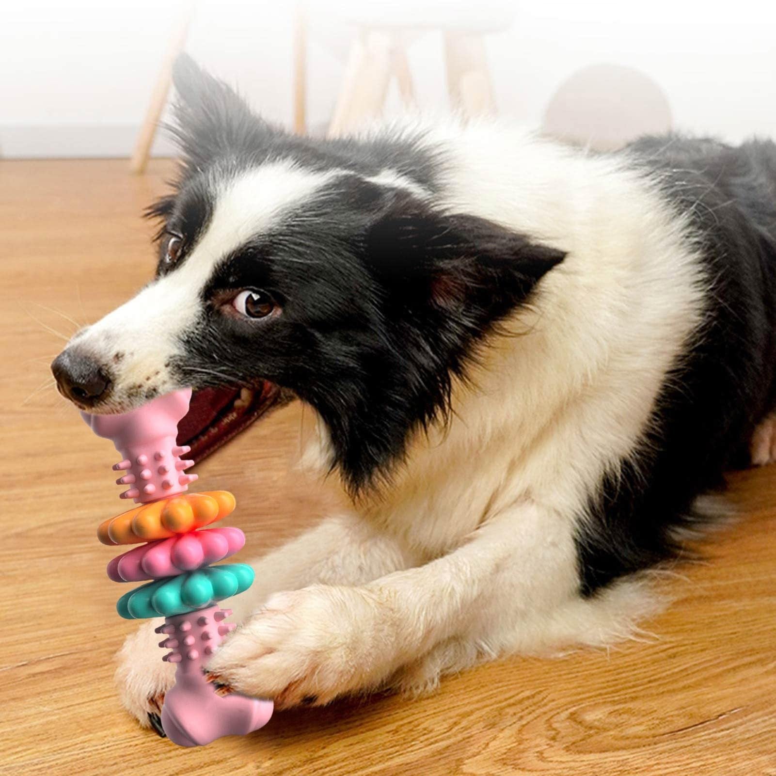 Fun & Durable Dog Bone for Teeth Cleaning