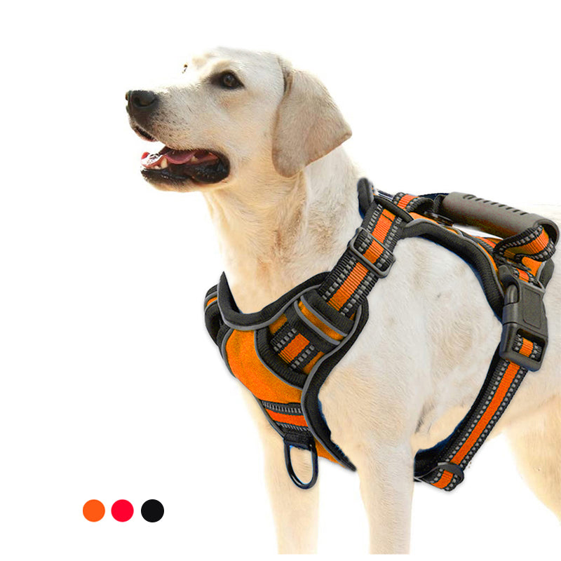 Comfortable No-Pull Harness for Happier Dog Walks