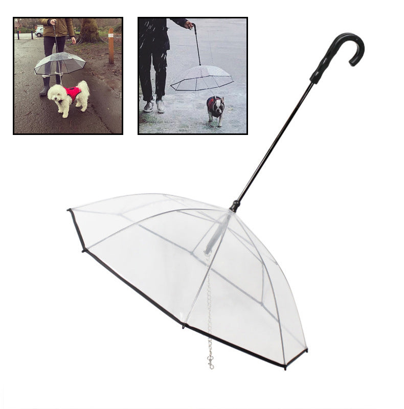 Rainy Day Walks Made Easy for Your Dog